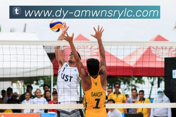 多媒体互动体验