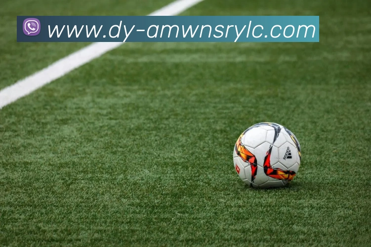 威尼斯人娱乐网站APP 体育赛事宣传图